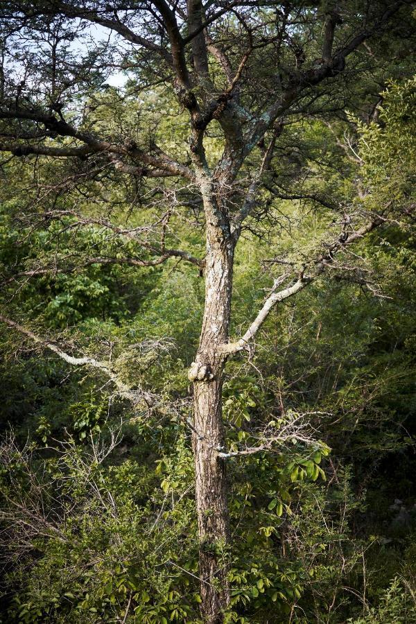 Letamo At Qwabi Private Game Reserve By Newmark Bela-Bela Eksteriør billede